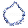 Natural Freshwater Shell Beads Strands SHEL-N026-123G-3