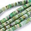 Natural Serpentine Beads Strands G-F612-03-2