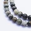 Natural Hawk's Eye Beads Strands G-L478-01-6mm-2