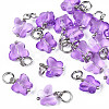 Faceted Transparent Glass Charms GLAA-T024-06B-1