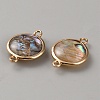 Flat Round Natural Paua Shell Resin Connector Charms BSHE-WH0004-16KCG-2