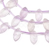 Natural Amethyst Beads Strands G-P607-A05-01-4