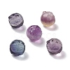 Natural Fluorite Beads G-P483-06-1