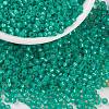 MIYUKI Round Rocailles Beads X-SEED-G008-RR0572-1