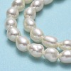 Natural Cultured Freshwater Pearl Beads Strands PEAR-J006-07C-4