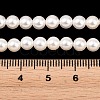 Electroplated Shell Pearl Beads Strands BSHE-C011-02-4