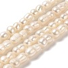 Natural Cultured Freshwater Pearl Beads Strands PEAR-E016-006-1