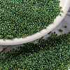 MIYUKI Round Rocailles Beads SEED-JP0010-RR0341-1