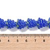 Handmade Lampwork Beads Strands LAMP-Q036-05F-4