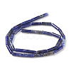 Natural Sodalite Beads Strands G-F247-30-2