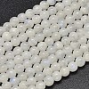 Round Grade A Natural Rainbow Moonstone Bead Strands G-M304-06-5.5mm-1