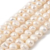 Natural Cultured Freshwater Pearl Beads Strands PEAR-P064-19J-04D-2