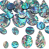 18Pcs 4 Styles Natural Paua Shell Cabochons SHEL-WR0001-10-1