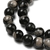 Natural Black Fossil Coral Beads Strands G-R494-A04-03-3