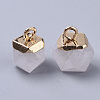 Natural Quartz Crystal Charms X-G-S359-015F-3