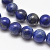 Natural Lapis Lazuli Round Bead Strands G-E262-01-8mm-9
