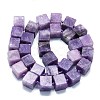 Natural Lepidolite/Purple Mica Stone Beads Strands G-K245-F01-01-2