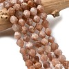 Natural Peach Moonstone Beads Strands G-Z119-A18-02-1