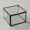 Cuboid Transparent Glass with Zinc Alloy Storage Box CON-WH0095-94-1