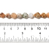 Natural Fossil Coral Beads Strands G-K382-A07-02-5