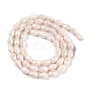 Opaque Solid Color Electroplate Glass Beads Strands EGLA-N013-P4mm-B08-2