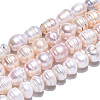 Natural Cultured Freshwater Pearl Beads Strands PEAR-N012-10E-3