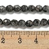 Natural Larvikite Beads Strands G-E571-A09-04-5