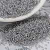 MIYUKI Round Rocailles Beads X-SEED-G009-RR0576-1