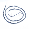 Natural Iolite/Cordierite/Dichroite Beads Strands X-G-G823-15-2.5mm-2