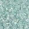 Transparent Inside Colours Glass Seed Beads SEED-T007-13N-2