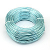 Anodized Aluminum Wire AW-S001-0.6mm-24-1