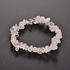 Chips Gemstone Beaded Stretch Bracelets BJEW-JB01825-01-1