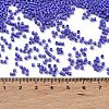 Baking Paint Glass Seed Beads SEED-S042-05B-74-4