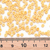 8/0 Opaque Glass Seed Beads SEED-S048-N-018-4