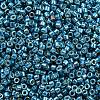 MIYUKI Delica Beads X-SEED-J020-DB2515-2