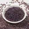 MIYUKI Round Rocailles Beads X-SEED-G008-RR3208-4