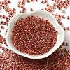 6/0 Transparent Inside Colours Glass Seed Beads SEED-P006-01A-05-2