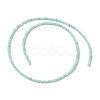 Natural Freshwater Shell Beads Strands SHEL-P017-01A-08-2