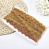 Metallic Lace Trim OCOR-WH0058-01G-6