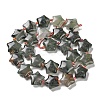 Natural African Bloodstone Beads Strands G-NH0005-003-3
