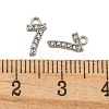 304 Stainless Steel Pendants STAS-L080-002P-07-3
