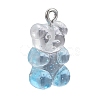 DIY 40Pairs Bear Transparent Resin Earrings Kits DIY-LS0001-02-2