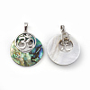 Natural Paua Shell Pendants KK-F751-L-B01-2