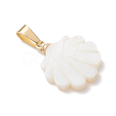 Natural Freshwater Shell Pendants PALLOY-JF05137-02-1