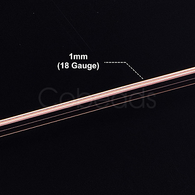 Copper Wire CWIR-BC0006-02C-C-1