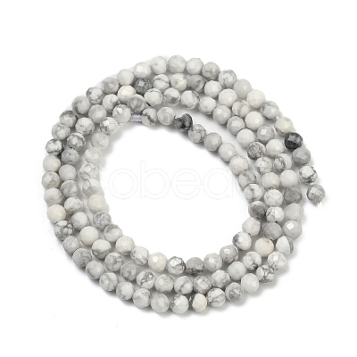 Natural Howlite Beads Strands G-C181-B03-02-1