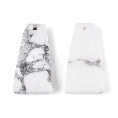 Natural Howlite Pendants G-Q601-10F-1