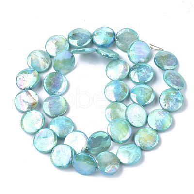 Natural Freshwater Shell Beads Strands X-SHEL-S274-52A-1