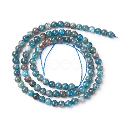 Natural Apatite Beads Strands G-L554-01-4mm-1