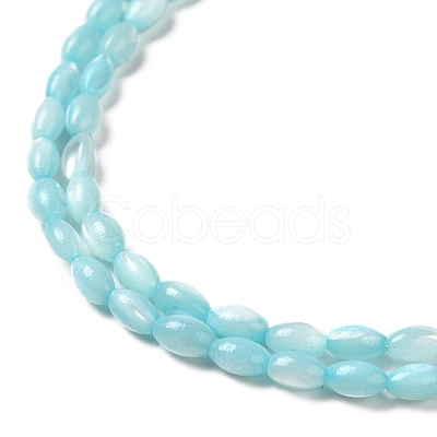 Natural Trochus Shell Beads Strands SHEL-K006-19D-1